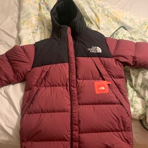 The north face down puffer parka